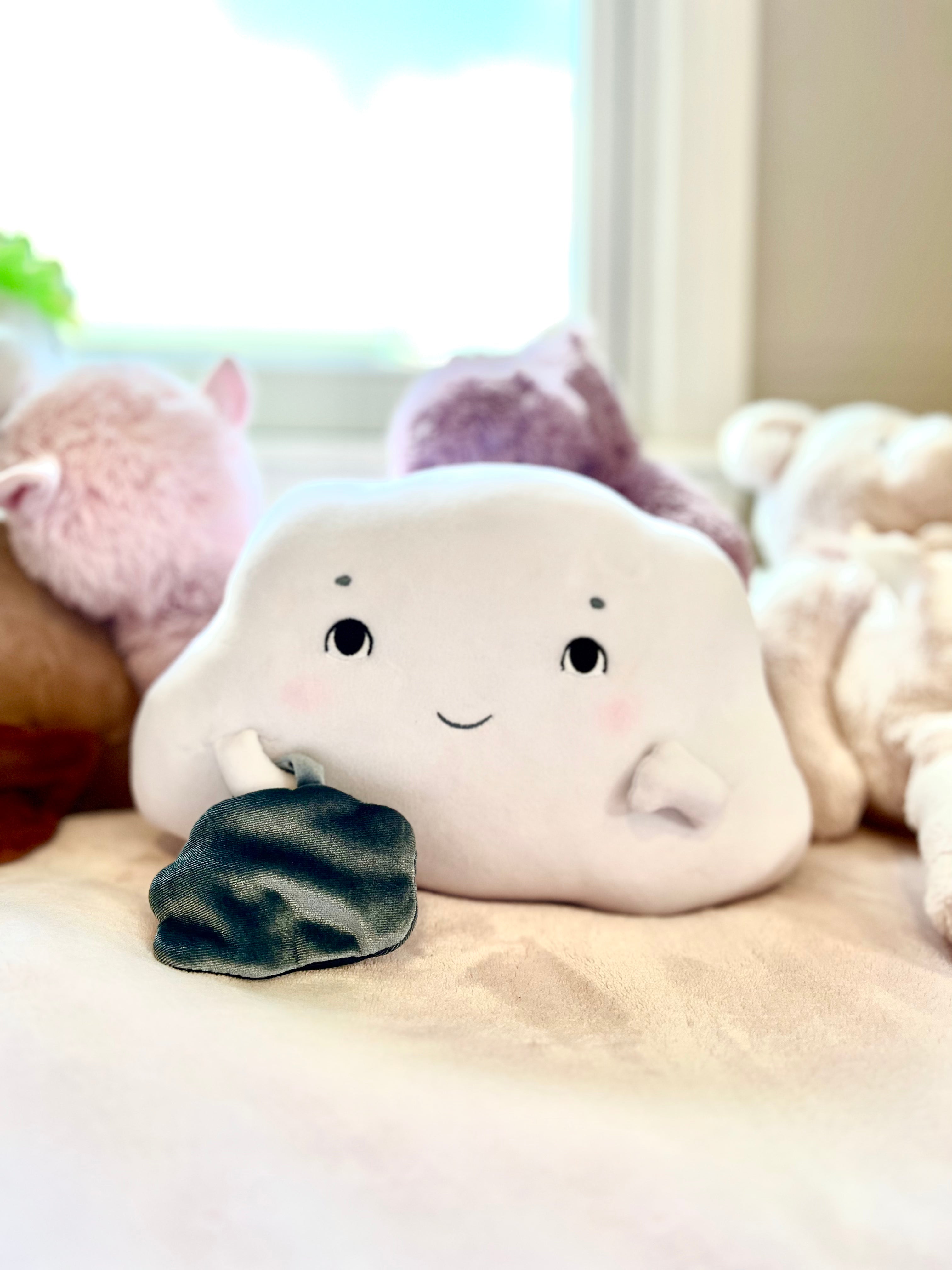 Worry Cloud Plush Toy – Mindful Minis Publishing